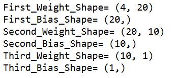 shape result of weight and bias