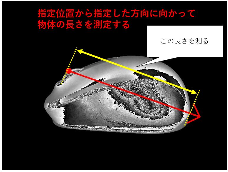 長さを計測する対象画像の説明