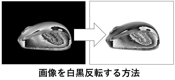 画像を白黒反転するという作業概要図