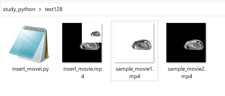 プログラム実行後のフォルダの中身