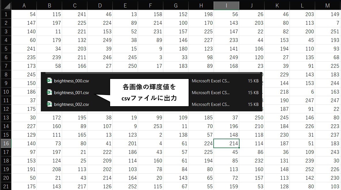 画像内輝度分布をcsv出力した例